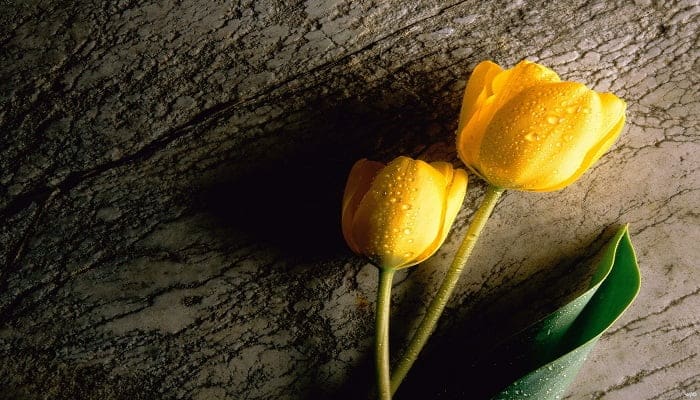 Foto: Pinterest