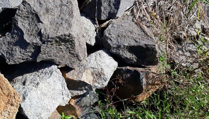 12 Fakta tentang Bilal bin Rabbah 1 Foto: Islampos