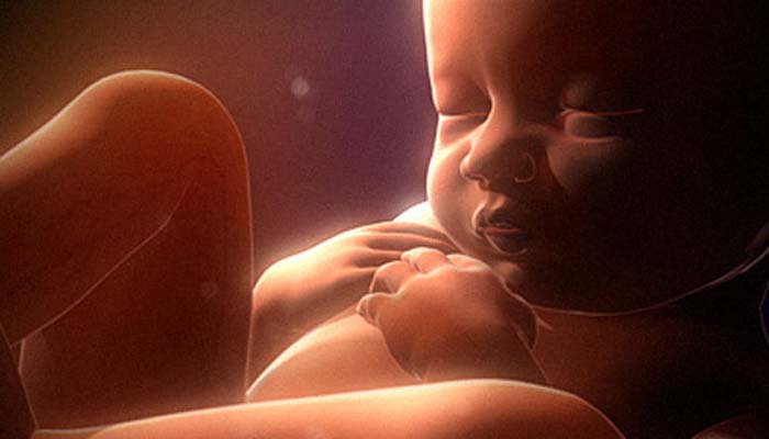 5 Hal Ghaib yang Hanya Diketahui oleh Allah SWT Saja 4 Fase Perkembangan Janin, Fakta Plasenta yang Mengagumkan, Cara Berbuat Baik pada Anak, Hukum Aborsi dalam Islam, Hal Ghaib yang Hanya Diketahui oleh Allah SWT
