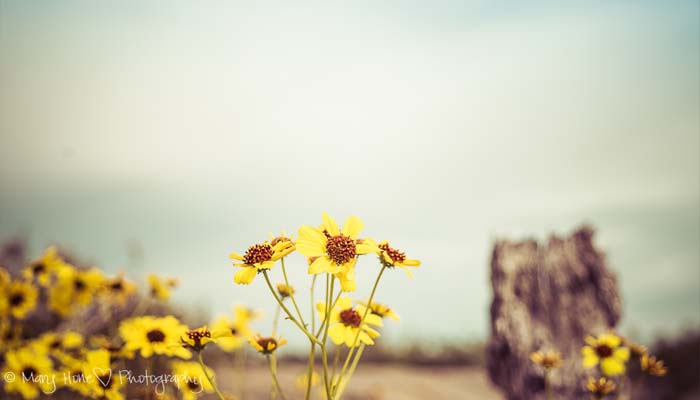 Foto: Tales from the Backroad