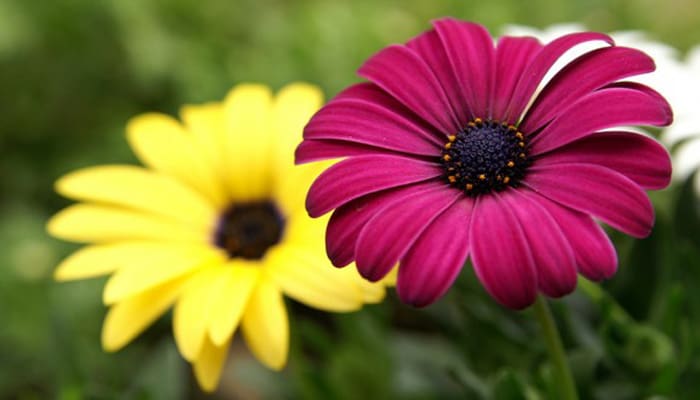 Foto: WondersList