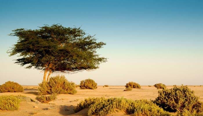 Foto: Environment - National Geographic