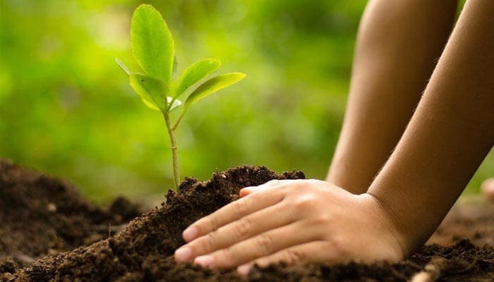 Jika Anda Tak Lakukan Ini, Rezeki Terhambat 1 Foto: Perlu Tau