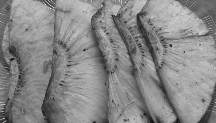 Sukun Goreng Dagangan Ibu Menteri 1 Foto: Tina Latief's Blog