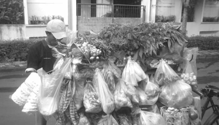 Kedzoliman Ibu-ibu pada Tukang Sayur