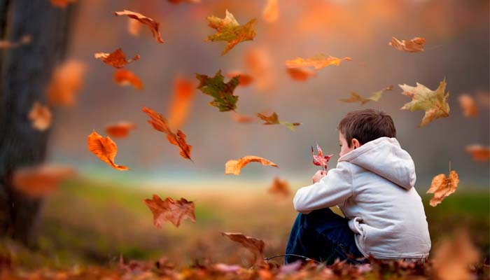 Foto: Zoni Wallpapers