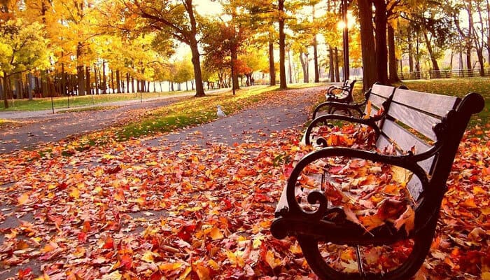 Pernah Merasa Kehilangan? 4