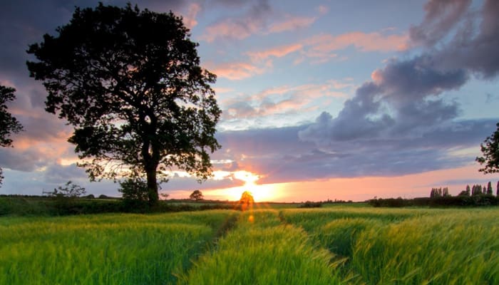 Foto: id.fixabay.com