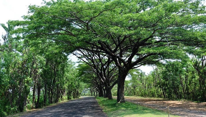 Foto: Panoramio