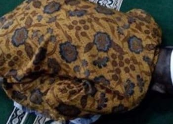 Ilustrasi. Foto: Google Image