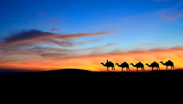 Asma binti Abu Bakar Merasa Malu Diminta Naiki Unta Nabi 1 asma binti abu bakar