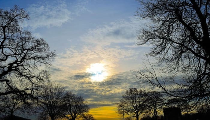 Musa Tidak Terkena Penyakit Apa-apa! 1 Musa Tidak Terkena Penyakit Apa-apa! 1 demi Allah