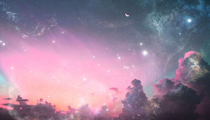 Foto: babypotbelliedpig.tumblr.com