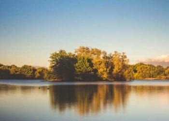 Ilustrasi Foto: Unsplash