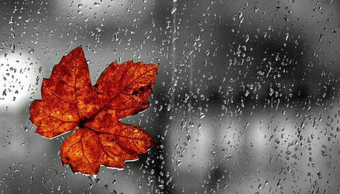 Kisah Pria yang Dimandikan Malaikat 1 Ilustrasi