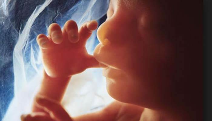 Foto: Tribunnews.com