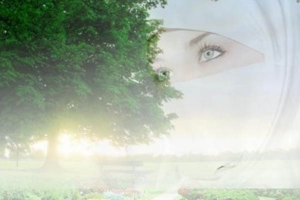 Bidadari, Adam, Surga