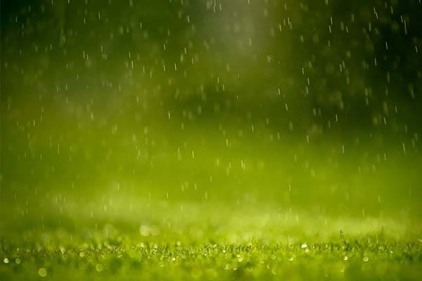 Foto: ipapun - DeviantArt