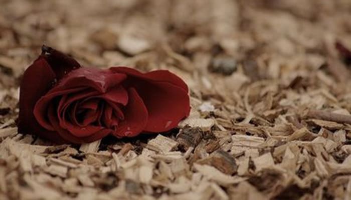 3 Hal Ini Bantu Kamu Kenali Calon Pasangan Hidupmu Tanpa Harus Pacaran 1