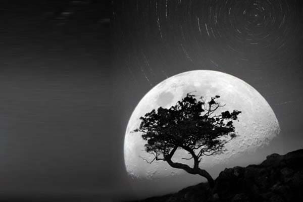 Foto: Pinterest