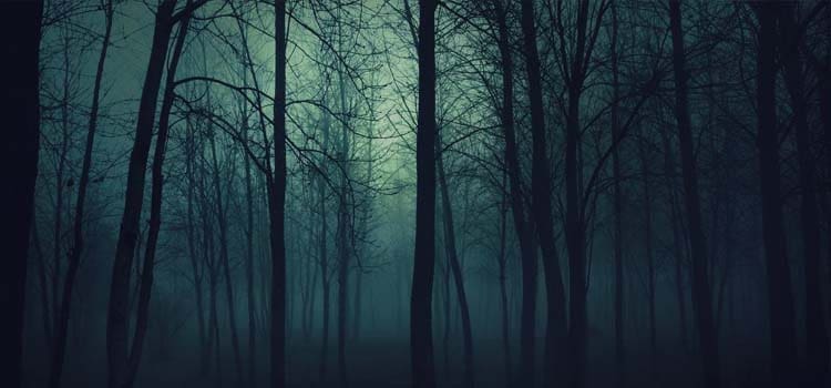 Foto: Wanderlust and Wonderment