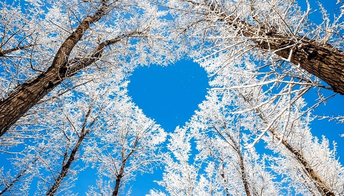 Foto: Wallpapers13.com