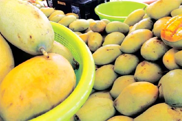 5 Tips Beli Buah-buahan, yang Simpel dan Oke 3 Tips Beli Buah-buahan