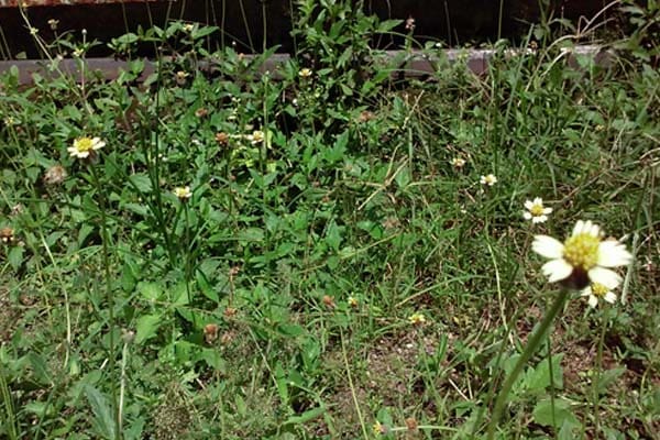 Foto: Abu Umar/Islampos