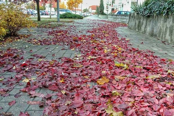 Foto: Koleksi pribadi Raidah Athirah