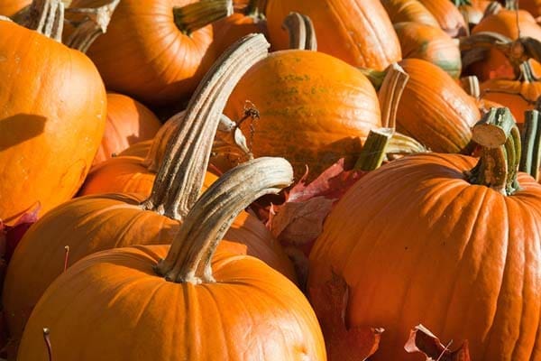 Penuhi Kebutuhan Vitamin C dengan 10 Buah Ini 4 Penuhi Kebutuhan Vitamin C dengan 10 Buah Ini 3