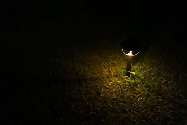 Foto: Abu Umar/Islampos