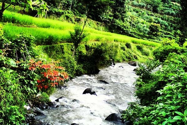 Foto: Yan S. Prasetiyadi/Islampos