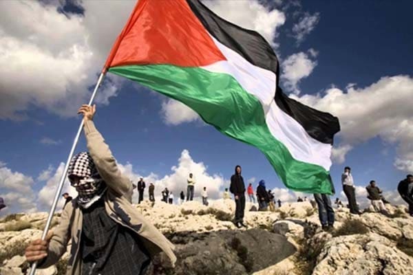 Fakta Memilukan Palestina