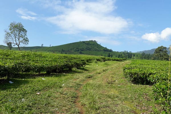 Foto: Abu Umar/Islampos