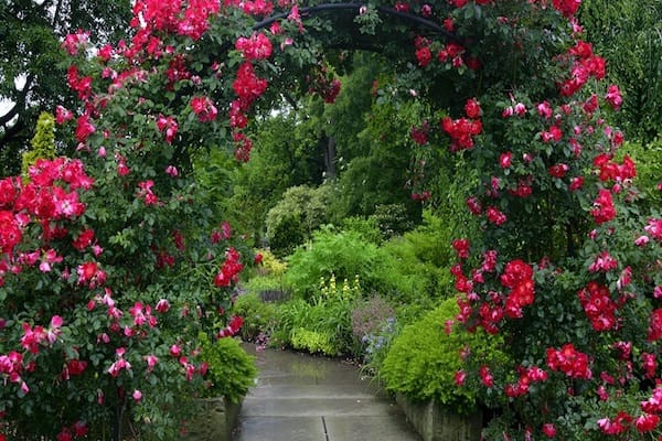 Foto: Halokawan.com
