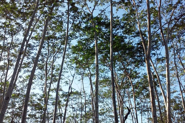 Foto: Abu Umar/Islampos