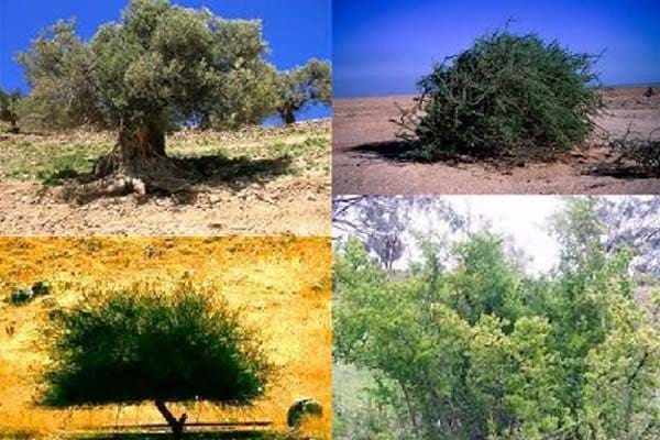 Foto: beyondthecusp.