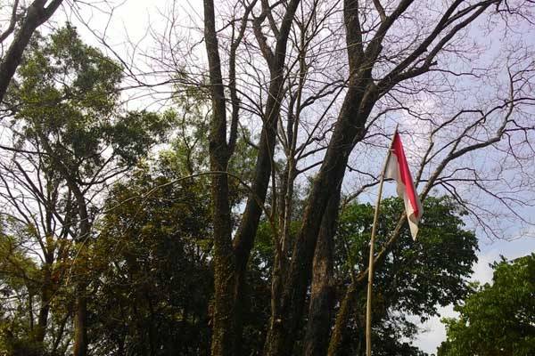 Foto: Islampos