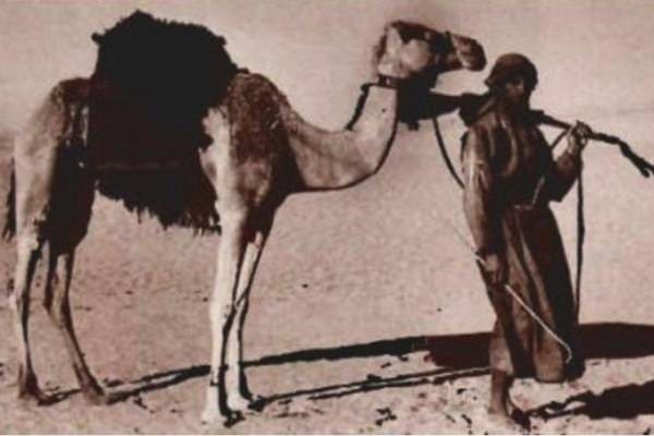 Foto: Ihram