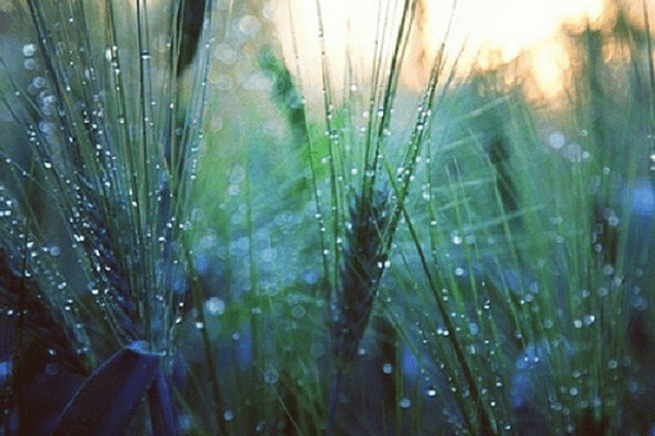 Foto: Abu Umar/islampos