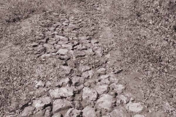 Foto: Abu Umar/islampos