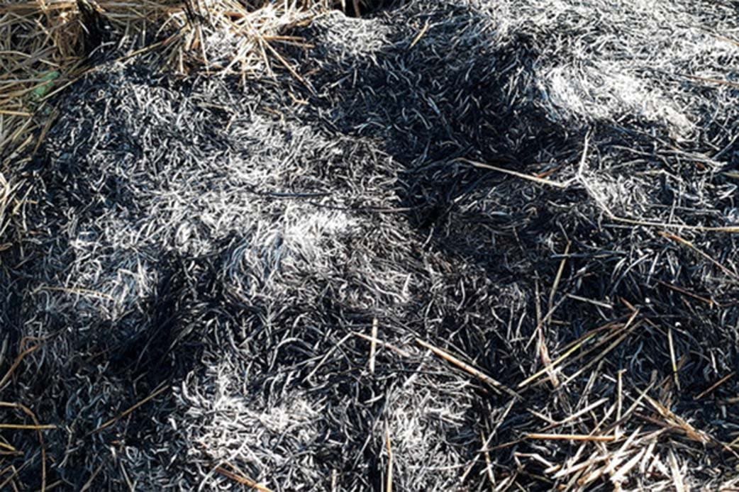 Foto: Foto: Abu Umar/Islampos