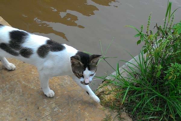 Foto: Abu Umar/islampos