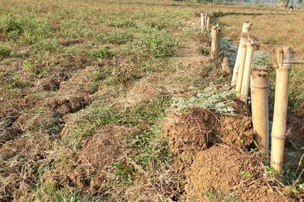 Mana yang Lebih Utama, Kaya Bersyukur Atau Miskin Bersyukur? 1 Foto: Abu Umar/Islampos