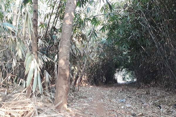 Delapan Nasihat Umar Bin Khatab 1 Foto: Abu Umar/Islampos