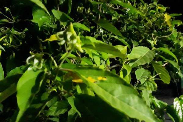 Foto: Abu Umar/islampos