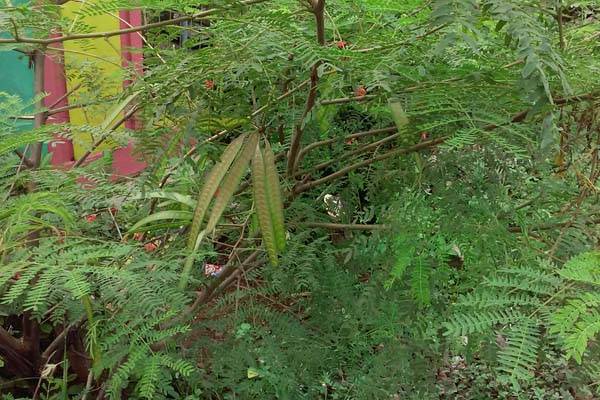 Foto: Abu Umar/islampos