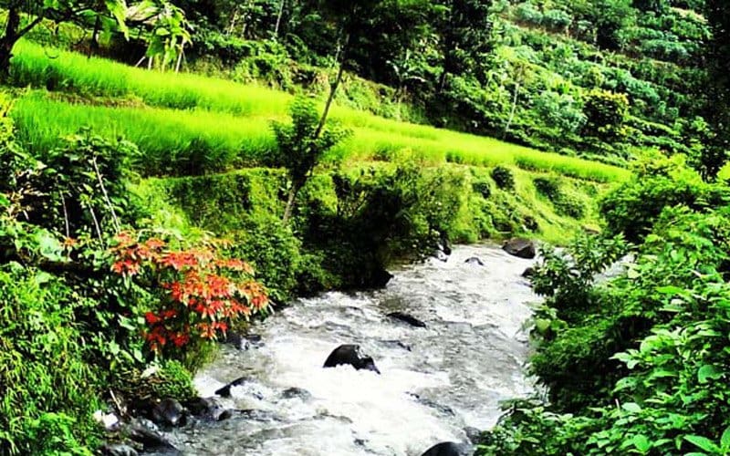 Foto: Yan. Prasetyadi/Istimewa