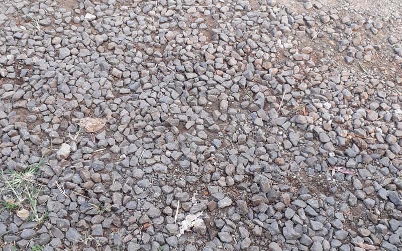 Alasan Ilmiah Sucikan Najis dengan Tanah 2 Alasan Ilmiah Sucikan Najis dengan Tanah