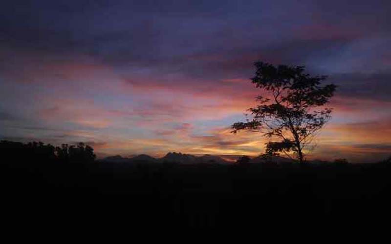 punggung rasulullah